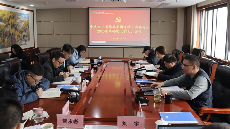 集團(tuán)公司召開(kāi)2025年第46次黨委（擴(kuò)大）會(huì)議