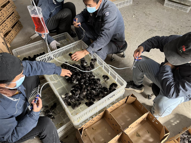 不負春光加油干   “孵化”發(fā)展新動能